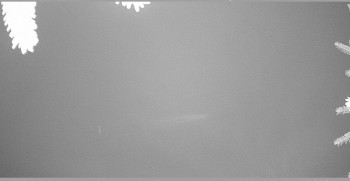 Snímek 8.11.2025 v 03:00