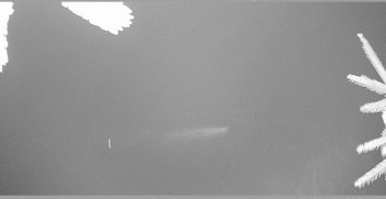 Snímek 8.11.2025 v 03:30