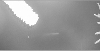 Snímek 8.11.2025 v 03:45