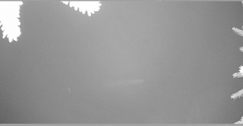 Snímek 8.11.2025 v 04:30