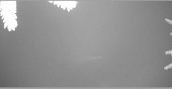 Snímek 8.11.2025 v 04:45