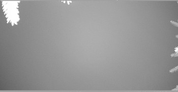 Snímek 8.11.2025 v 05:30