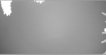 Snímek 8.11.2025 v 05:45