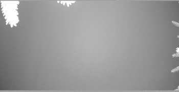 Snímek 8.11.2025 v 06:30