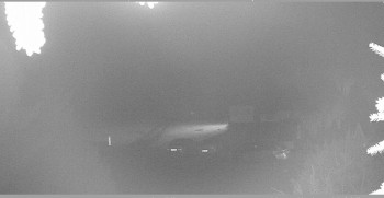 Snímek 8.11.2025 v 18:30