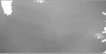 Snímek 8.11.2025 v 20:00