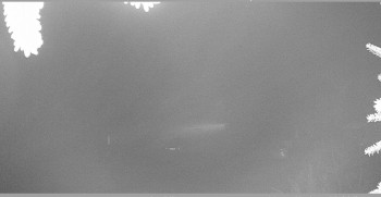 Snímek 8.11.2025 v 22:00