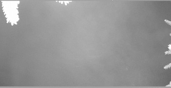 Snímek 8.11.2025 v 22:30