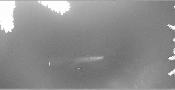 Snímek 9.11.2025 v 06:15