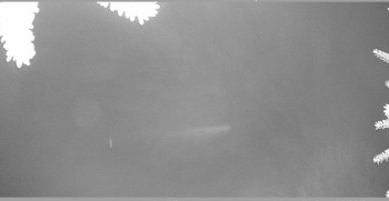 Snímek 9.11.2025 v 20:45