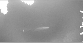 Snímek 9.11.2025 v 21:30