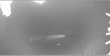 Snímek 11.11.2025 v 19:15