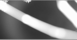 Parkoviště běžecký areál