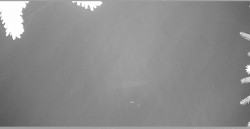 Parkoviště běžecký areál