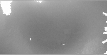 Snímek 12.11.2025 v 23:30