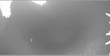 Snímek 14.11.2025 v 01:45