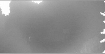 Snímek 14.11.2025 v 02:30