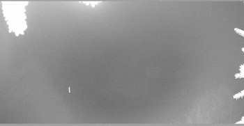 Snímek 14.11.2025 v 03:30