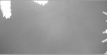 Snímek 14.11.2025 v 04:00