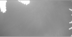 Parkoviště běžecký areál