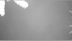 Parkoviště běžecký areál