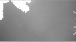 Parkoviště běžecký areál