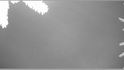 Parkoviště běžecký areál