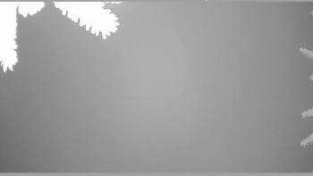 Snímek 16.11.2025 v 04:00