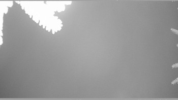 Snímek 16.11.2025 v 05:45