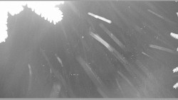 Parkoviště běžecký areál