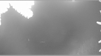 Snímek 18.11.2025 v 01:30