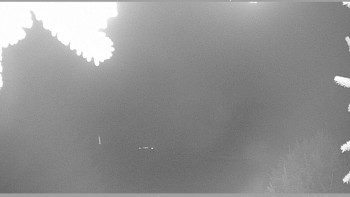 Snímek 18.11.2025 v 02:15