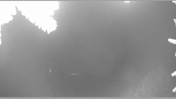 Snímek 18.11.2025 v 03:15