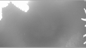 Snímek 19.11.2025 v 05:45