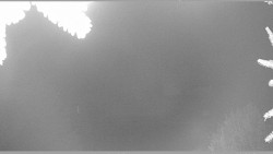 Parkoviště běžecký areál