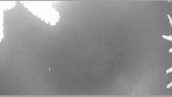 Snímek 19.11.2025 v 22:00