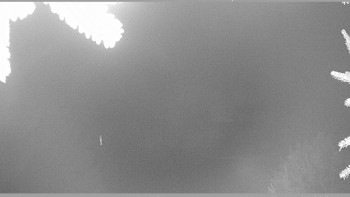 Snímek 19.11.2025 v 22:15