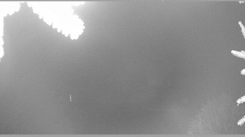 Snímek 19.11.2025 v 23:15