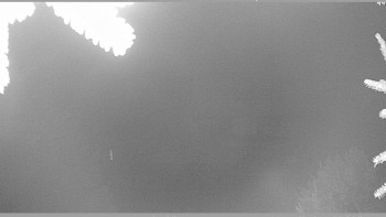 Snímek 20.11.2025 v 01:30