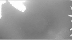 Parkoviště běžecký areál