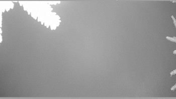 Snímek 20.11.2025 v 03:00