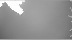 Parkoviště běžecký areál