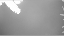 Parkoviště běžecký areál