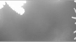 Parkoviště běžecký areál