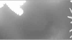 Parkoviště běžecký areál