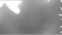 Parkoviště běžecký areál