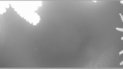 Parkoviště běžecký areál