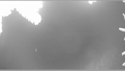 Parkoviště běžecký areál