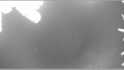 Parkoviště běžecký areál