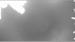 Parkoviště běžecký areál